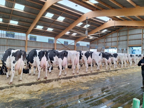 Prim’Holstein : un syndicat au top niveau pour ses 50 ans