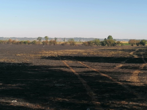 Quatorze hectares partent en fumée chez un éleveur de chevaux