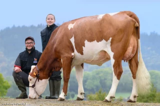 Umotest consolide son leadership génétique et accélère sur l’innovation