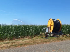 L'eau du Rhône au secours de la Plaine