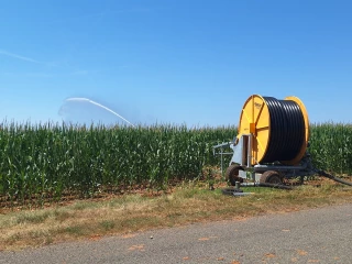 L'eau du Rhône au secours de la Plaine