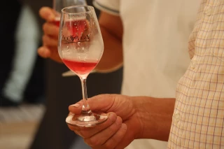 Palmarès des vins : 7 médailles pour l'AOC Bugey 