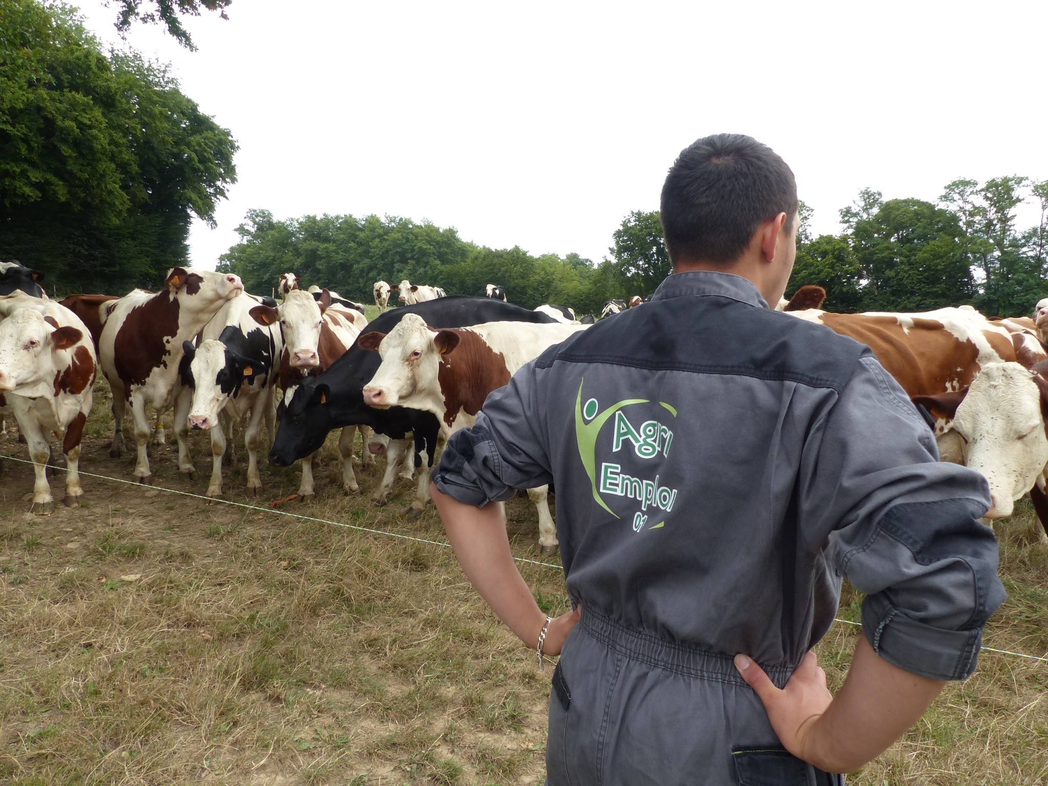 A Agri emploi 01 les salaires sont revalorisés depuis le 1er juillet