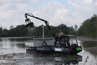 Amphibi’Ain révolutionne l’arrachage de la jussie dans les étangs