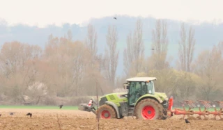 Corbeau freux : la fin de validité du classement en ESOD repoussée 