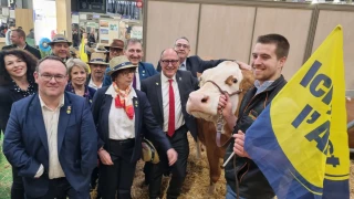 Natalia de la ferme du Giroux, grande championne Simmental