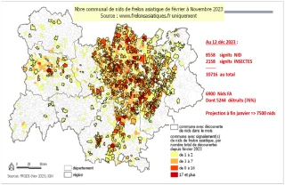 Le nombre de nids multiplié par 2,5 dans l’Ain