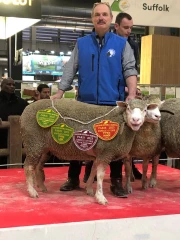 Palmarès des animaux : apogée pour Jean-Luc Berger et deuxième prix pour Kalouna de But
