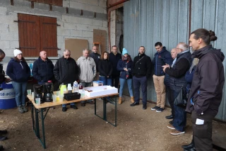 Avec la prédation du loup, les agriculteurs craignent le recul de l’élevage