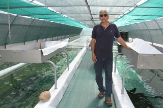 L’Ain perd l’un de ses deux producteurs de spiruline