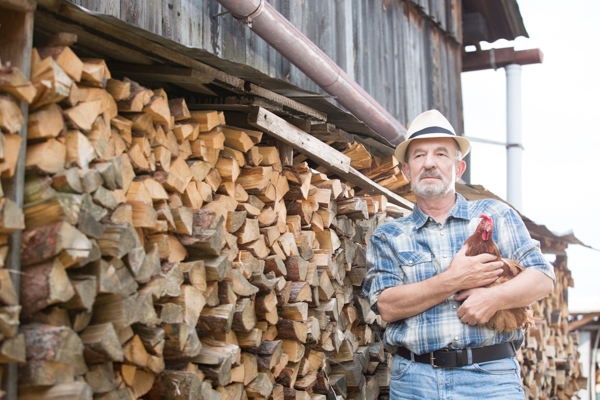 Bois de chauffage, les prix flambent