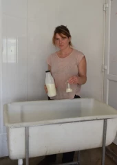 Recourir au lait acidifié