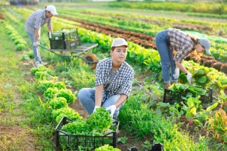Saisonniers : le climat, première source de pénibilité