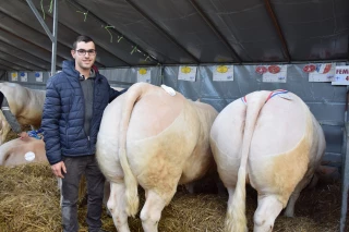 Le bétail gras de Pâques souffre…