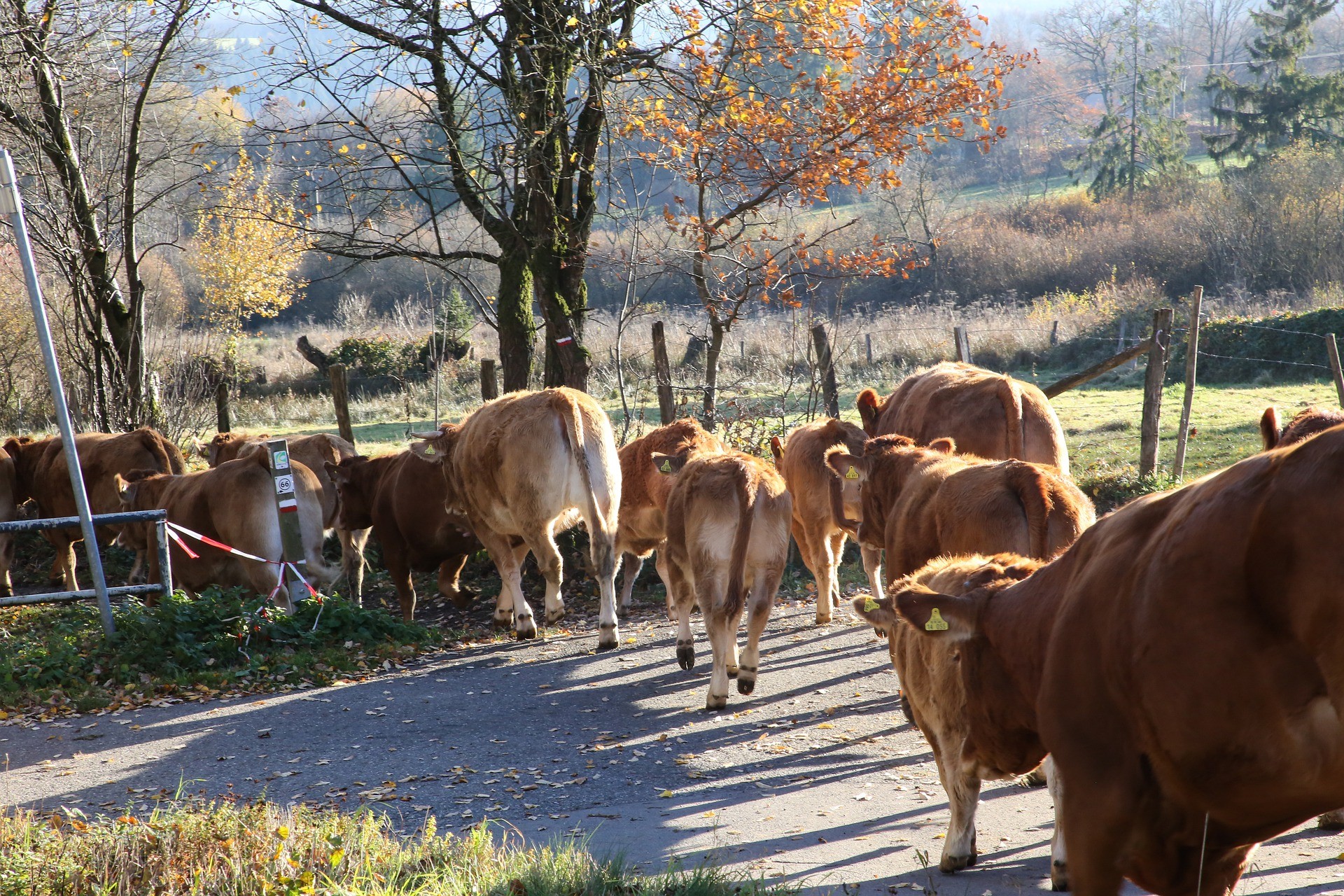 Émissions industrielles : les ministres de l'Agriculture inquiets