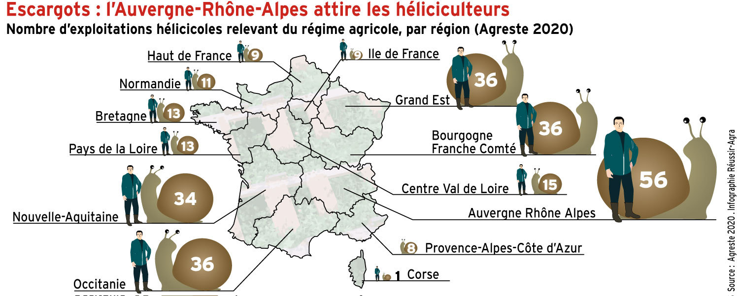 Auvergne-Rhône-Alpes attire les héliciculteurs