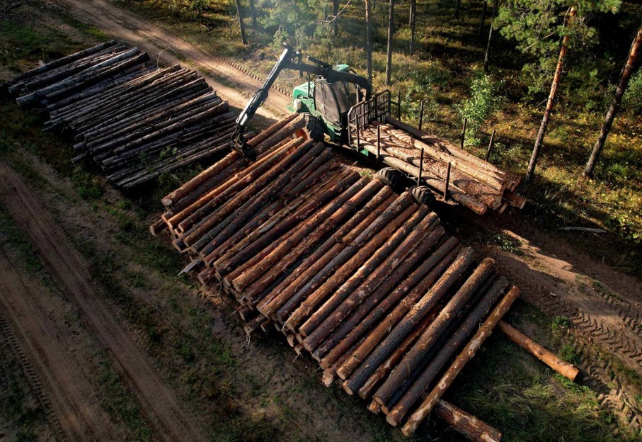 Bois : une récolte 2020 en baisse de 4 %