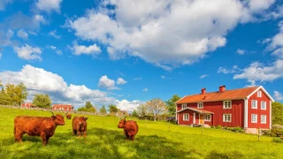 Les exploitations mixtes en fort déclin dans l’Union européenne