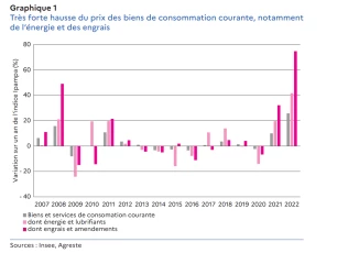 Hausse historique du prix des intrants en 2022