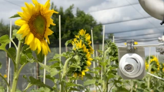 NBT : le texte de la Commission enfin sur la table