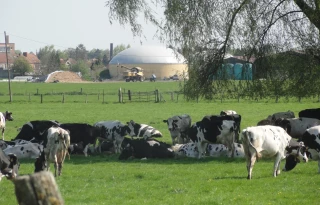 Accélérer le rythme d’installation d’unités de biogaz