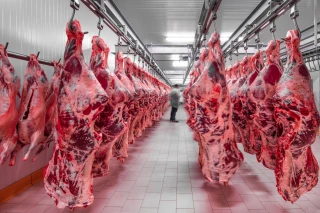 Chute des prix des coproduits 