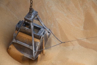 L’Afrique importera 80 Mt de céréales en 2023-2024