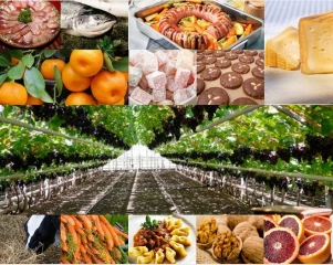 Accord sur la réforme des indications géographiques