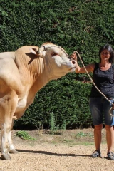 « Le contrat : c’est une véritable sécurité  »