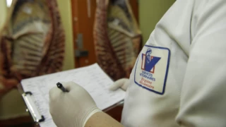 La piste des vétérinaires étrangers pour contrôler les abattoirs