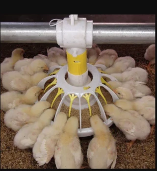 Nutrition animale : la production se stabilise