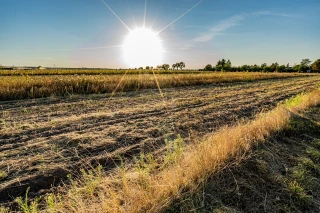 Le 22 juillet a été le jour le plus chaud jamais mesuré