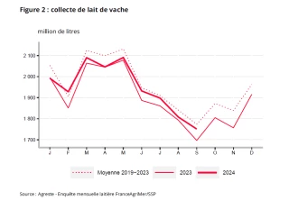 Hausse de la collecte de lait de vache en septembre