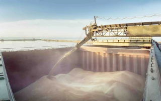 L’export pénalisé par les mauvaises récoltes