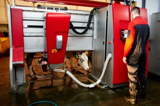 Des revenus en hausse, malgré des écarts entre les différents systèmes