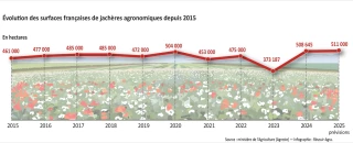 La surface française de jachères à un niveau élevé