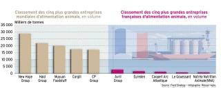 Les entreprises européennes d'alimentation animale de l'UE reculent au classement mondial
