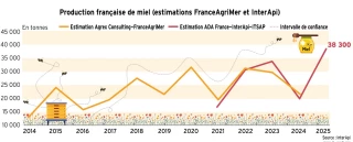 Une importante production de miel en 2024