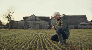 Les éleveurs s’en sortent mieux que les céréaliers