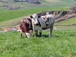 Un vent d’optimisme souffle chez Sodiaal