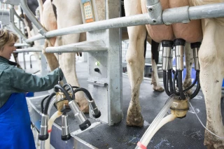 Prix du lait : des rapprochements probables en Europe