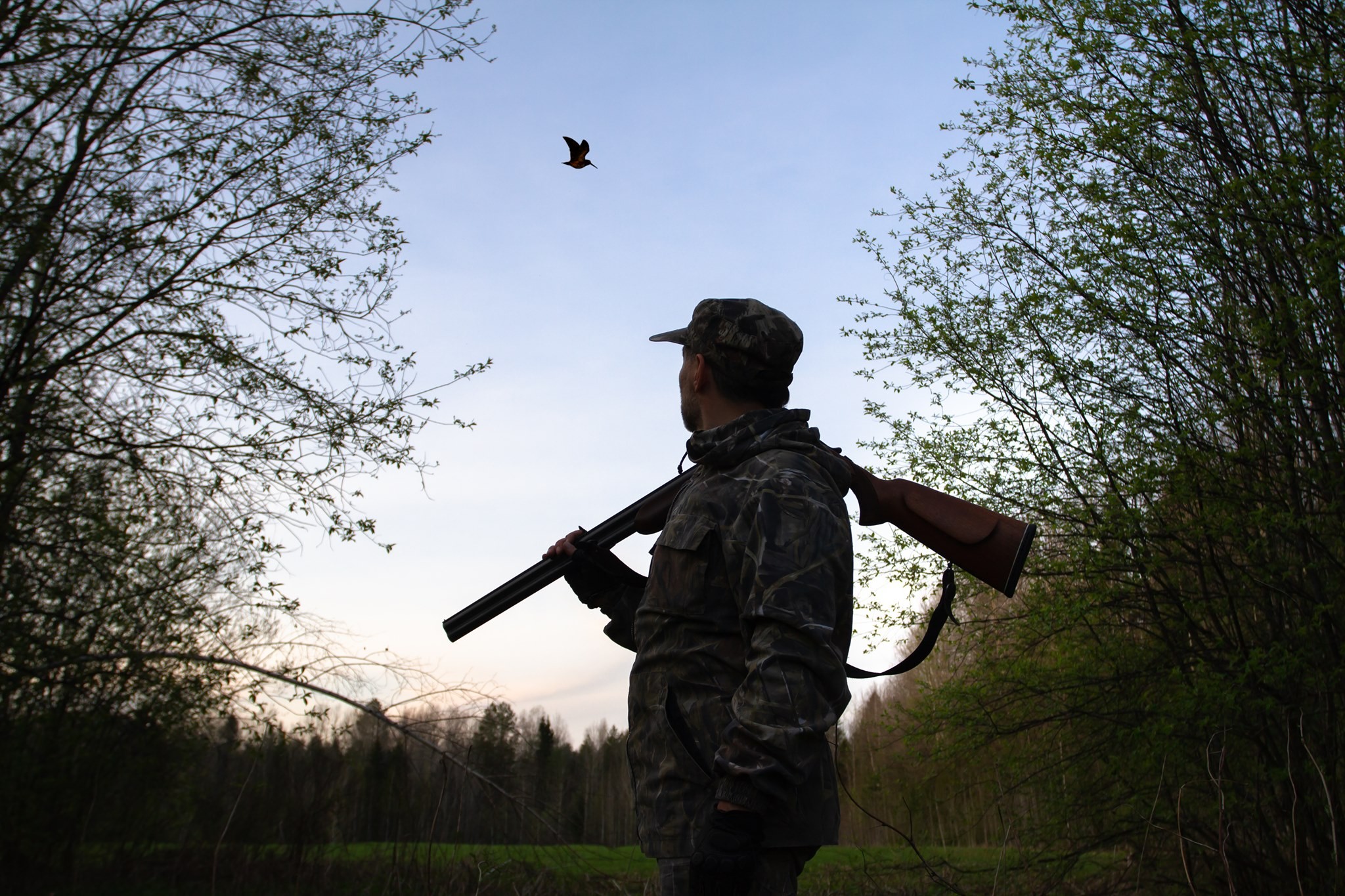 Les aides aux chasseurs démultipliées