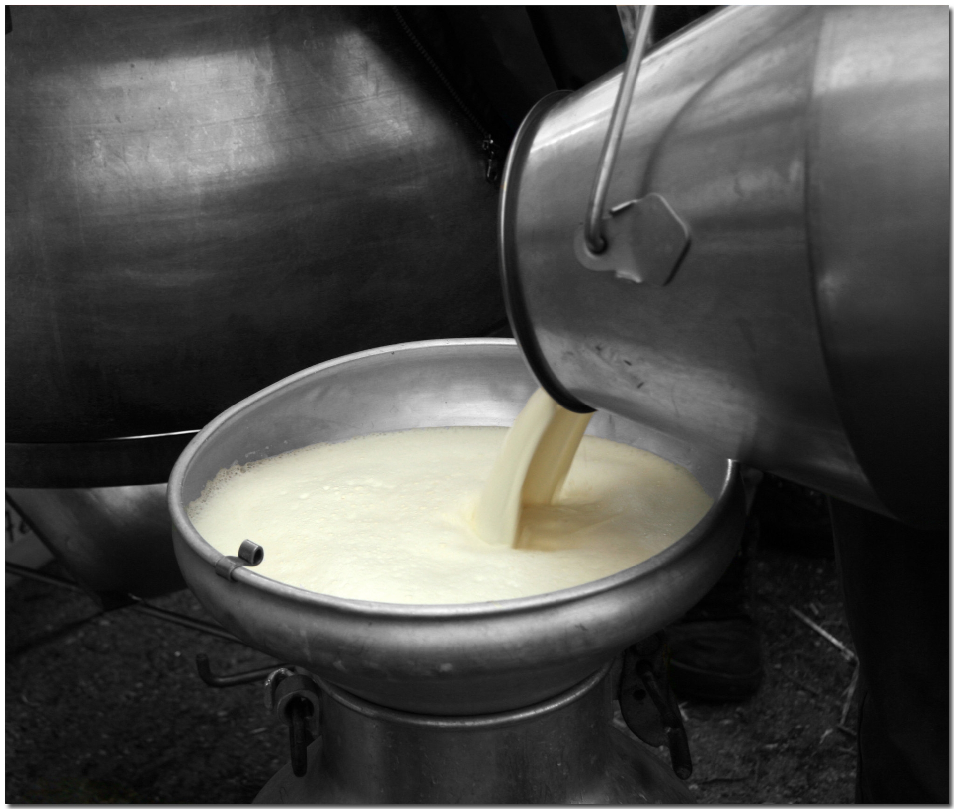Les coopératives anticipent une hausse du prix du lait de 13 à 15 euros les 1 000 litres