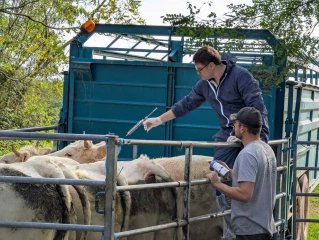 Vaccination : aller vite pour la ZR1