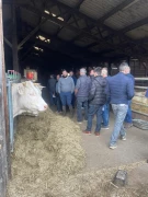 Promotion et génétique au programme