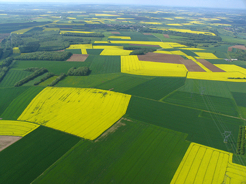 Statut du fermage : un outil pertinent mais à dépoussiérer