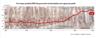 Bovins viande, les prix restent à des niveaux historiquement élevés