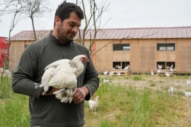 La filière avicole recherche des éleveurs