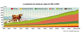 L'Asie, leader mondial de la production de viande