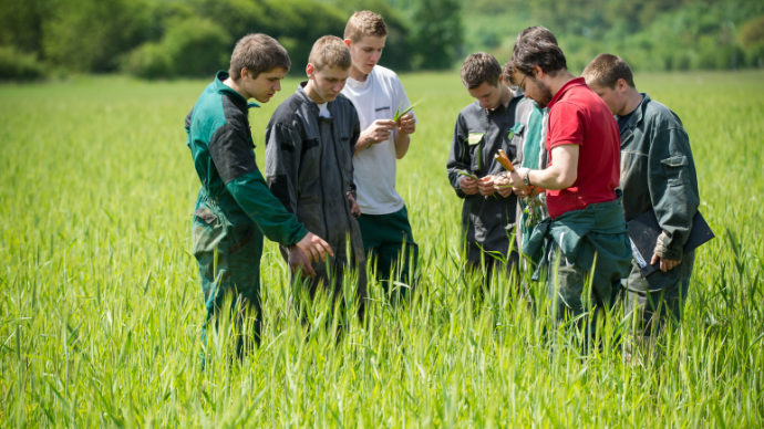 Une attractivité croissante pour l’enseignement agricole